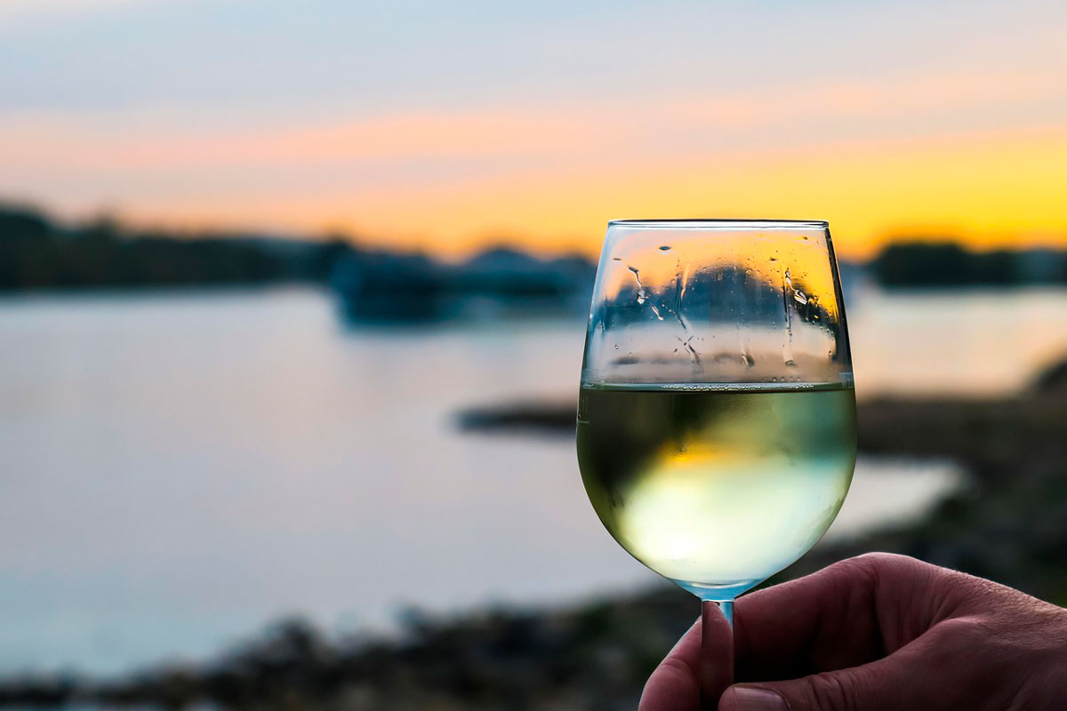 Find den perfekte vin